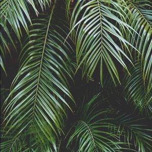 Meet your Posher, Evan